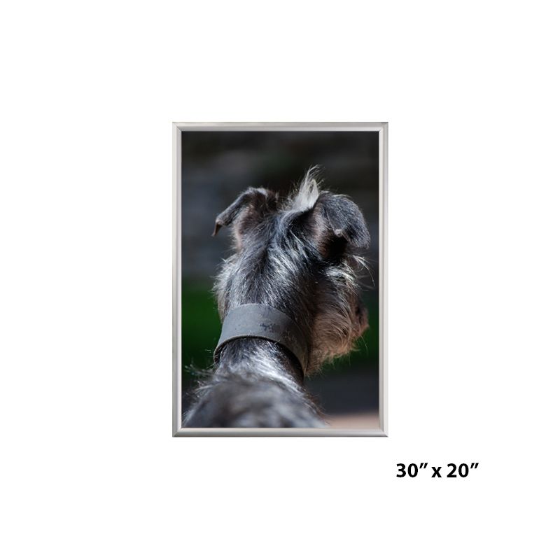 30x20 Tamper-proof Security Aluminium snap frame