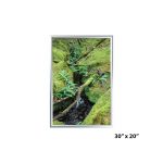 30x20 Standard Aluminium snap frame