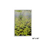 60x40 Standard Aluminium snap frame