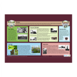 STSA2L sign tray-with text