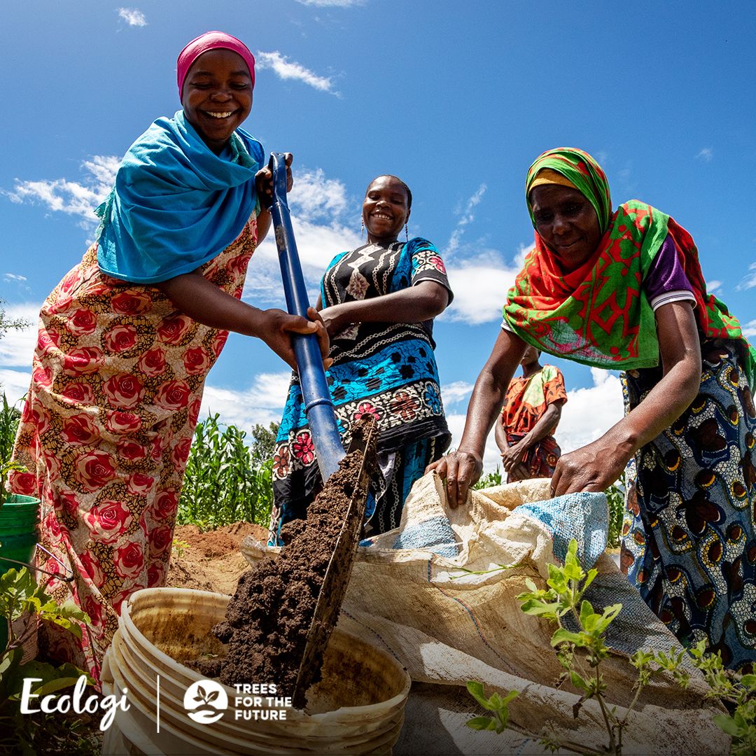 Planting Trees with Ecologi